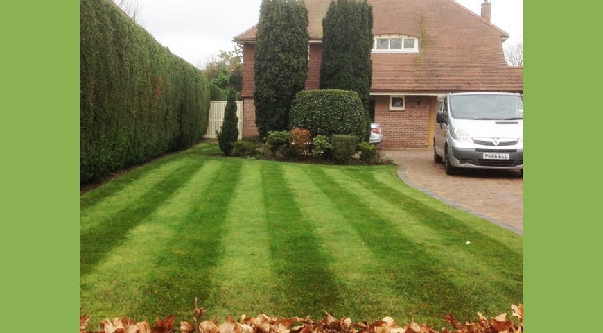 lawn-five