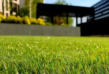 Lawn Care & Treatments
