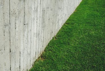 Lawn Seeding